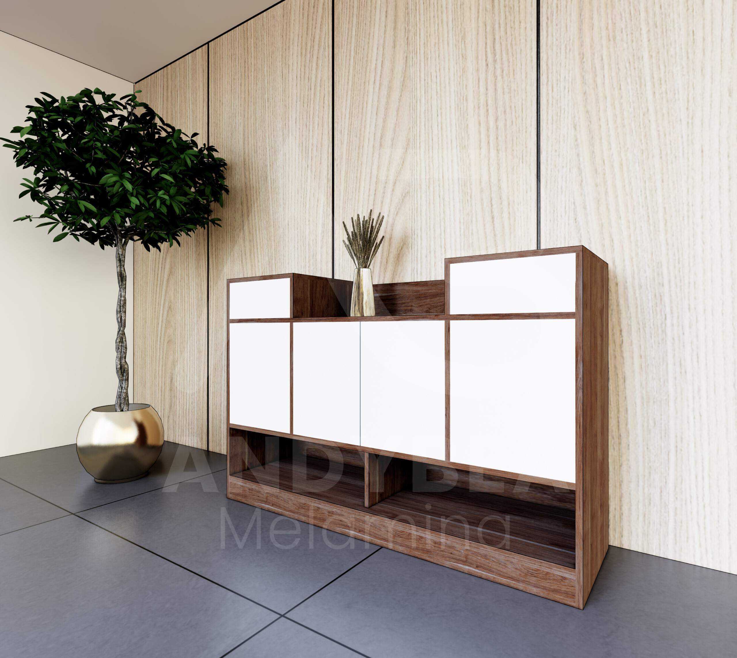 Cómoda con Zapatera Interior